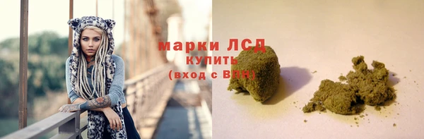 дмт Магас