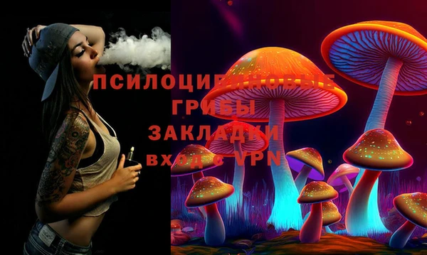 дмт Магас