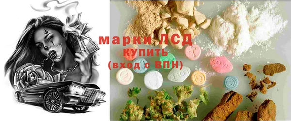 дмт Магас