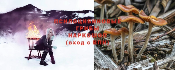 прущий лед Магадан