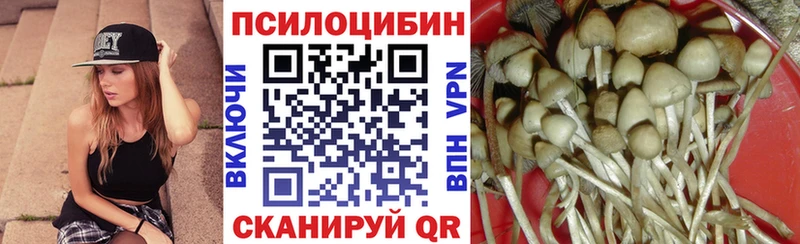 что такое   Заозёрный  Галлюциногенные грибы Psilocybine cubensis 